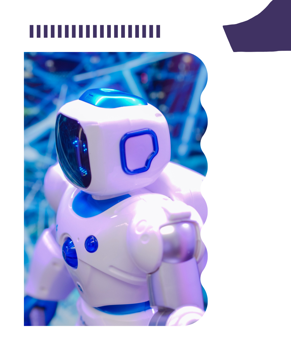 Toys & Gadgets